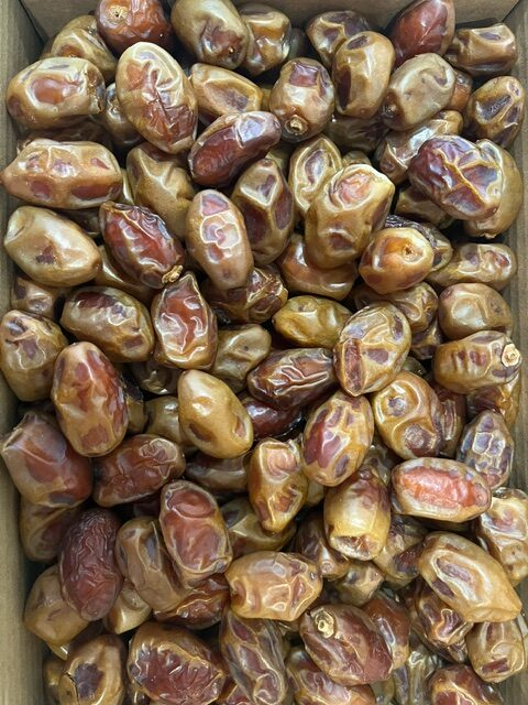 Muneif dates. datteleria